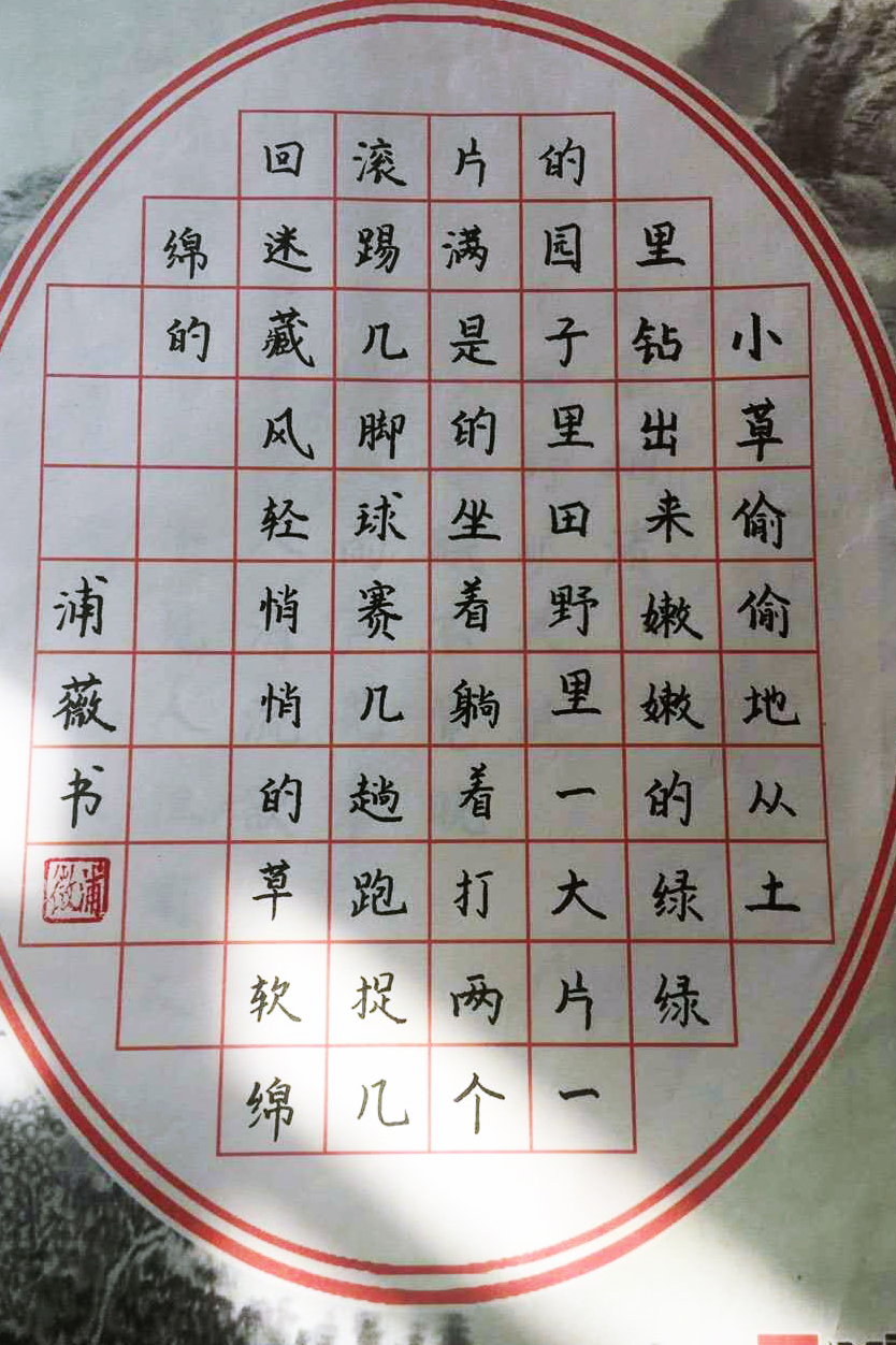 初一二班浦薇.jpg